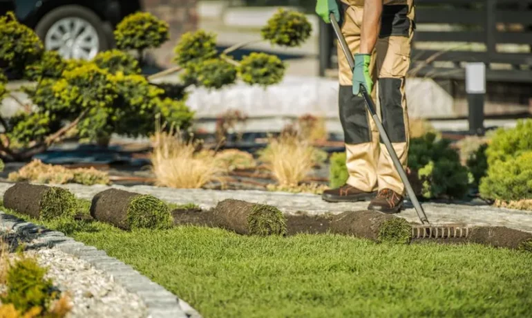 Landscape Contractors in Florida Hire the best